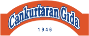 logo.png (13 KB)