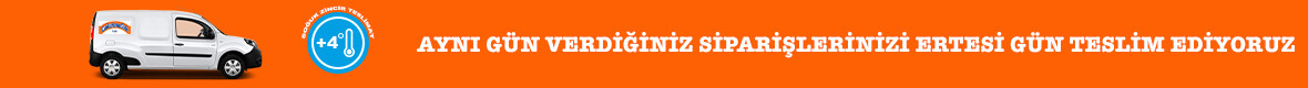 SERVİS